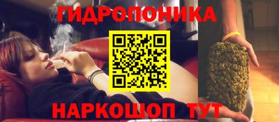 гашиш Славгород