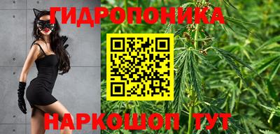 гашиш Славгород