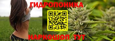 гашишное масло Сланцы