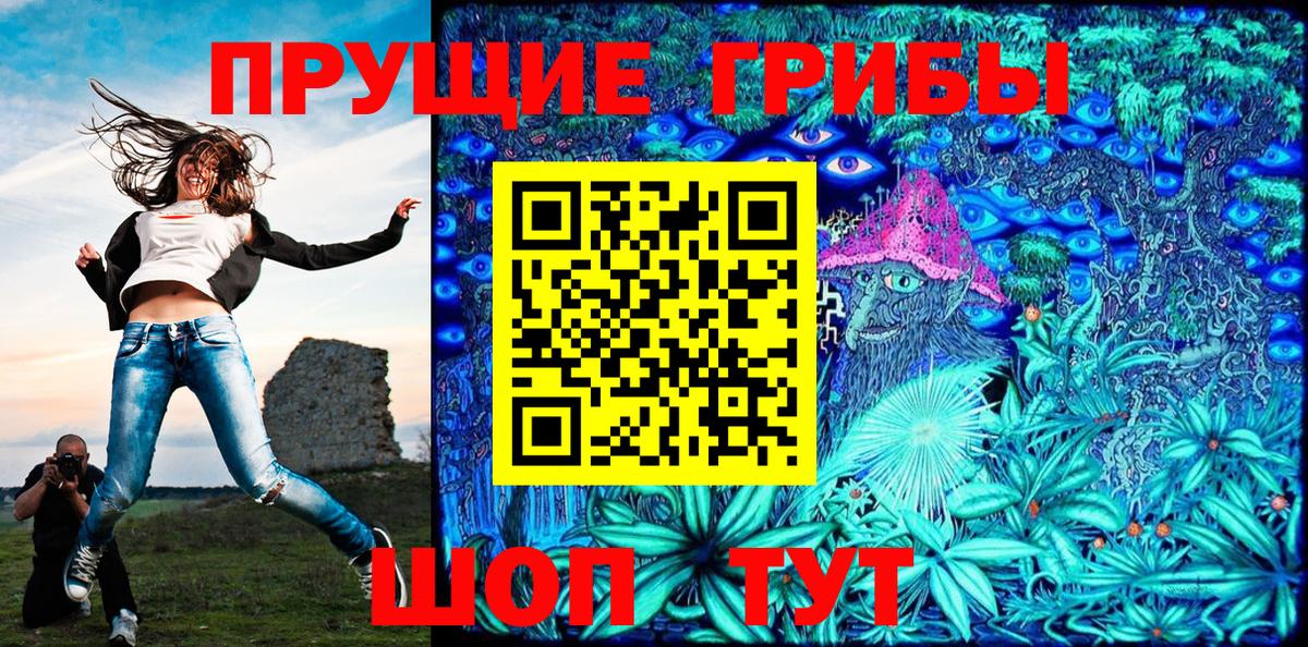 Галлюциногенные грибы Magic Shrooms  Галлюциногенные грибы Cubensis  Вход с VPN  Петрозаводск 